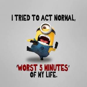 Meet your Posher, Robert